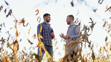 Two farmers standing outdoors in soy field in autumn shaking hands on deal. Handshake on soybean field video