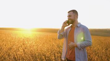 uma agricultor ou agrônomo fala em uma célula telefone dentro uma soja campo durante colheita video