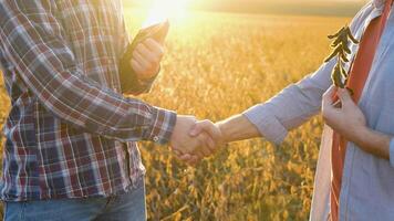 stretta di mano su soia campo. Due agricoltori in piedi all'aperto nel soia campo nel autunno tremante mani su affare video