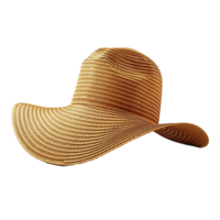 Paja sombrero en transparente antecedentes png