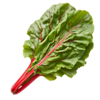 Fresh swiss chard vegetable on isolated transparent background png