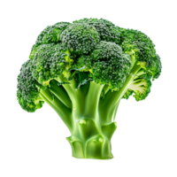 broccoli on transparent Background png