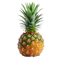 Pineapple on transparent Background png
