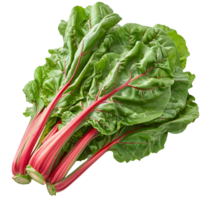 Fresh swiss chard vegetable on isolated transparent background png