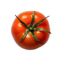 Tomato fruit on isolated transparent background png