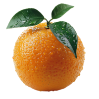 Orange fruit sur transparent Contexte png