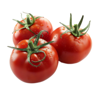 Tomato fruit on isolated transparent background png