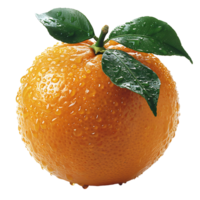 Orange fruit on transparent Background png