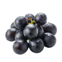 Grape fruits on isolated transparent background png
