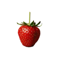 fraise sur fond transparent png