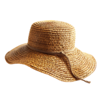 Paja sombrero en transparente antecedentes png