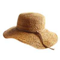 paille chapeau sur transparent Contexte png