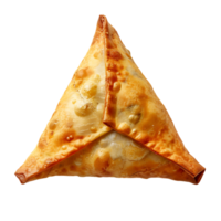 samosa Aan transparant achtergrond png