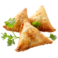 samosa en transparente antecedentes png