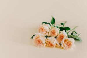 Tender Rose flowers on a pink pech pastel background. photo