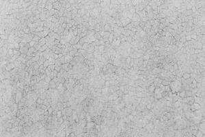 Grey rustic texture background. Black and white. photo