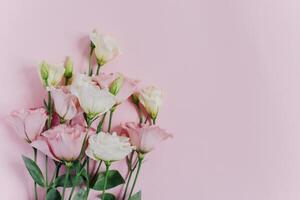 Beautiful white and pink Eustoma Lisianthus flowers on a pink pastel background. photo