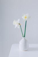 Beautiful flowers of white daffodil narcissus in a vase on a light grey background. photo