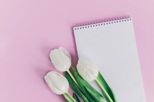 hermosa blanco tulipanes y cuaderno con blanco página en rosado pastel antecedentes. foto