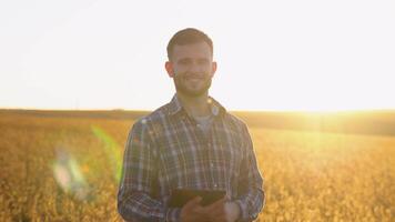 Portrait of farmer standing in soybean field examining crop at sunset video