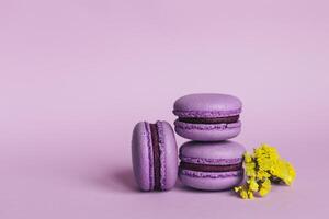 Tres francés macarons con amarillo flores en un púrpura antecedentes. sitio para texto. foto