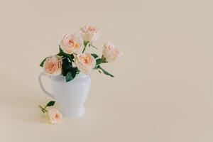 Tender Rose flowers in a vase on a pink pech pastel background. photo