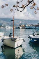 increíble ver de yate centro de deportes acuáticos en buda, montenegro hermosa soleado día. foto