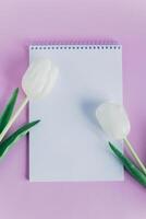 hermosa blanco tulipanes y cuaderno con blanco página en Violeta pastel antecedentes. foto