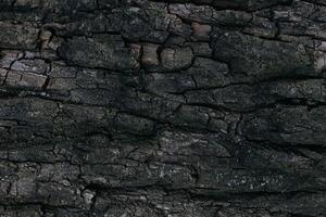 Dark wooden texture or background. Close-up. photo