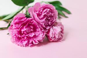 Beautiful bouquet of pink pastel peony flowers on a light pink background. Selective focus. photo