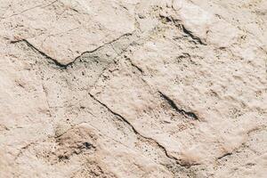 Stone Texture or Background in monochrome. Close-up. photo