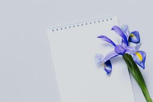 Notebook with blank page and purple Iris flower on light grey background. photo