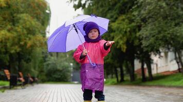 Kind mit ein Regenschirm Spaziergänge im das Regen. wenig Junge mit Regenschirm draußen video