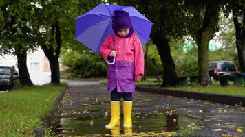 les enfants avec parapluie et pluie bottes jouer en plein air dans lourd pluie. enfant en jouant en dehors dans le pluie. peu garçon sauter dans boueux flaque. enfant fonctionnement dans orage video