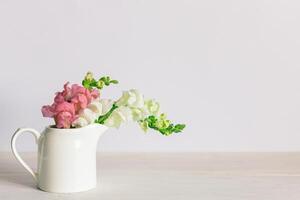 rosado y blanco flores de boca de dragón o antirrino majus en un tarro en un blanco antecedentes. foto