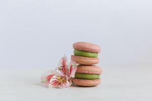 Two tasty French macarons with pink flower on a white background. photo