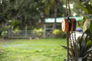 Chain Hoist In The Garden photo