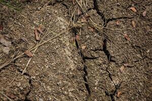 Textures On The Cracked Ground photo