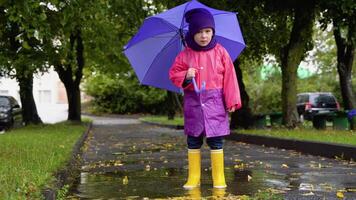 kinderen met paraplu en regen laarzen Speel buitenshuis in zwaar regen. kind spelen uit in de regen. weinig jongen jumping in modderig plas video