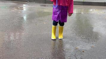 crianças com guarda-chuva e chuva chuteiras jogar ao ar livre dentro pesado chuva. criança jogando Fora dentro a chuva. pequeno Garoto pulando dentro turvar poça. criança corrida dentro tempestade video