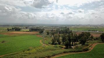 Agricultural Green field aerial view with city skyline in the background photo