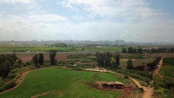Agricultural Green field aerial view with city skyline in the background photo