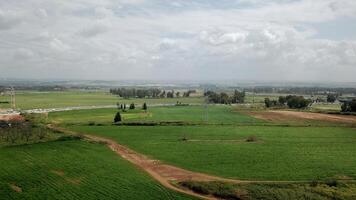 Agricultural Green field aerial view with city skyline in the background photo