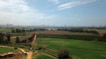 Agricultural Green field aerial view with city skyline in the background photo