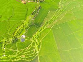 increíble paisaje de aterrazado arroz campo. parte superior ver desde zumbido de verde arroz terraza campo con forma y modelo a cikancung, Indonesia. Disparo desde un zumbido volador 200 metros alto. foto