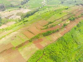 Aerial view of peak Cikancung Hill, Indonesia. Landscape of a green hilltop with plantations. Agricultural Field. Above. Agricultural Industry. Shot from a drone flying 100 meters photo