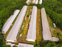 Top view of Corn storage and processing warehouse. Landscape view of the warehouse in the middle of expanse of trees and plantations. Aerial photography. Food industry. Shot from a flying drone photo