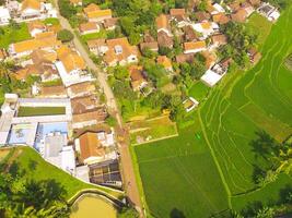 Bird eye view of village among rice fields in Bandung City, Indonesia. Landscape of farmland with rice terrace agricultural crops in countryside. Agricultural Field. Above. Shot from a drone flying photo