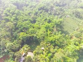 Bird eye view of tropical forest on the edge of the city, forest that functions as a water catchment in the city of Bandung, West Java Indonesia, Asia. Natural Landscape. Top view. Aerial Shot photo