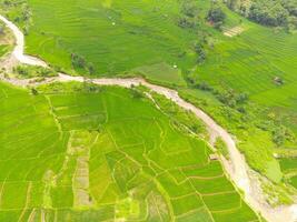 ver de local granja a el parte superior de el colina. aéreo ver de arroz campos y plantaciones en cicalengka, Bandung - Indonesia. arriba. agricultura industria. Disparo en zumbido volador 100 metros foto